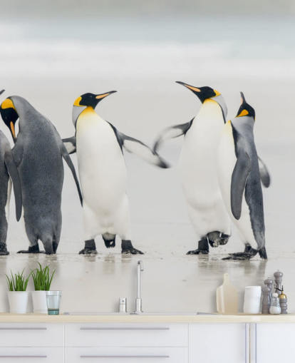 Dancing pingviinit taustakuva Dancing pingviinit taustakuva