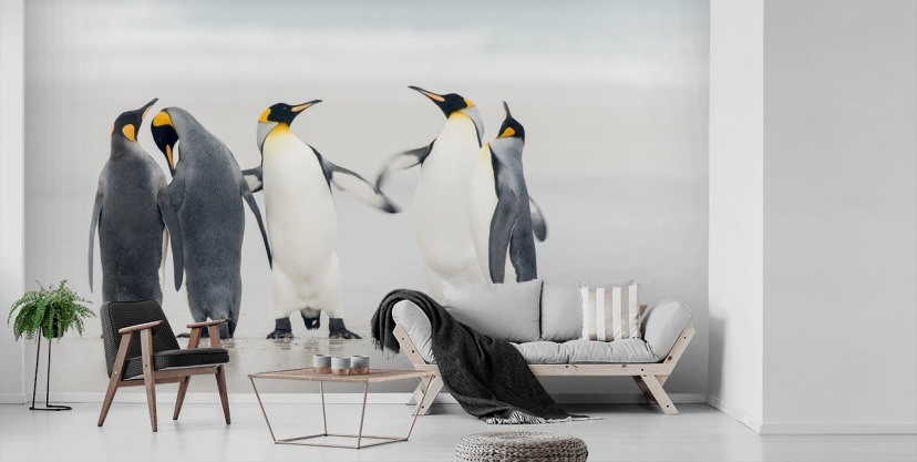 Penguin Wallpaper For Walls Penguin Wallpaper Chrome Web Store