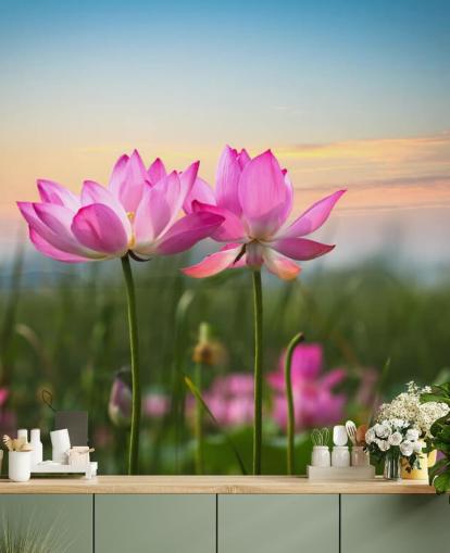 Pink Lotus Flower in a Field Wall Mural