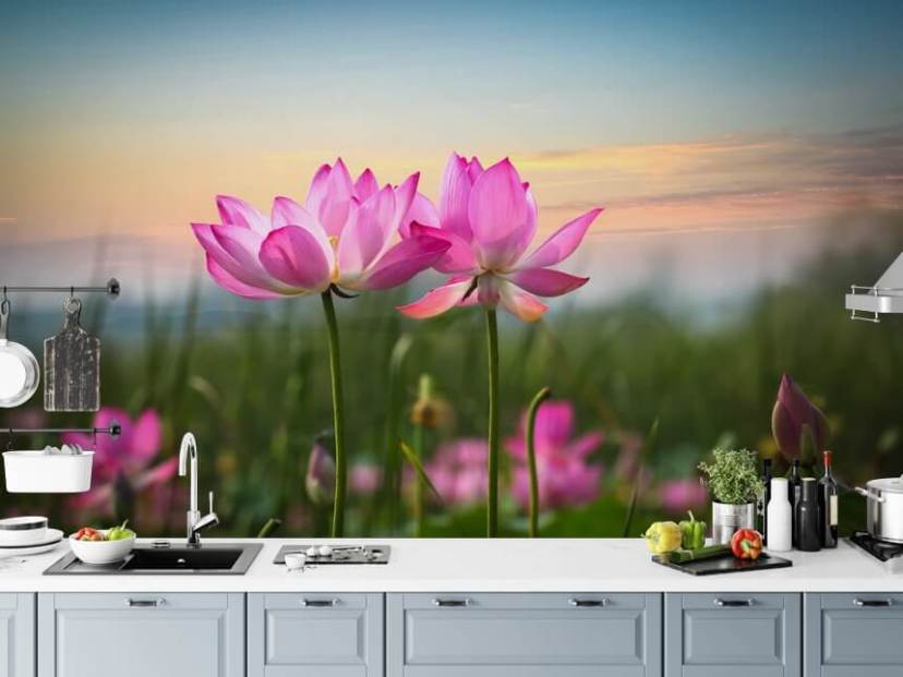 Lotus Flower in Sunset Pink Floral Wallpaper