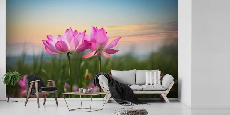 Lotus Wallpaper & Wall Murals | Wallsauce AU