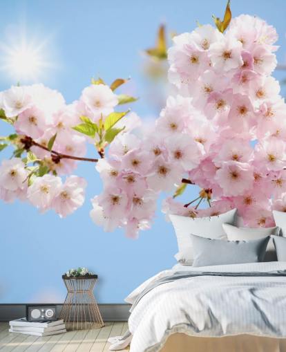 Tapetentapete mit rosa und blauen Blüten namens Blossom against a Blue Sky für Schlafzimmer, Badezimmer und Küchen Tapetentapete mit rosa und blauen Blüten namens Blossom against a Blue Sky für Schlafzimmer, Badezimmer und Küchen