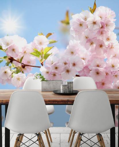 carta da parati murale con fiori rosa e blu chiamata Blossom against a Blue Sky per camere da letto, bagni e cucine