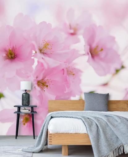 rosa-weiße Blumentapete mit dem Titel Japanischer Kirschbaum in Blüte für Schlafzimmer