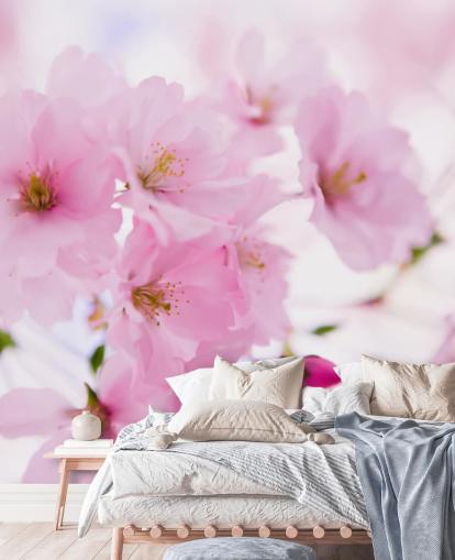 rosa-weiße Blumentapete mit dem Titel Japanischer Kirschbaum in Blüte für Schlafzimmer