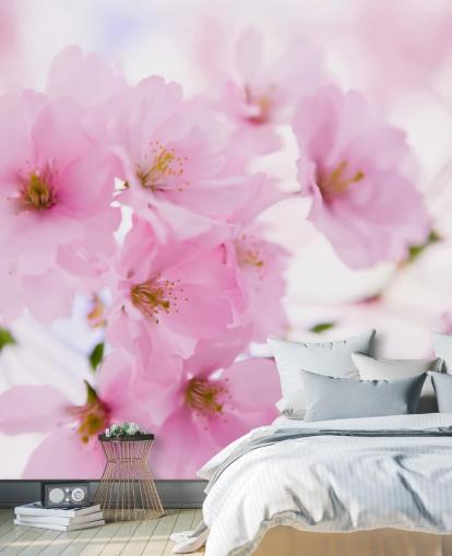 mural de papel de parede floral rosa e branco chamado Japanese Cherry Tree in Blossom para quartos