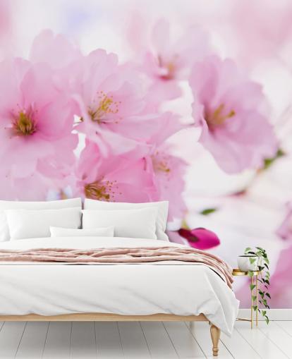 rosa-weiße Blumentapete mit dem Titel Japanischer Kirschbaum in Blüte für Schlafzimmer