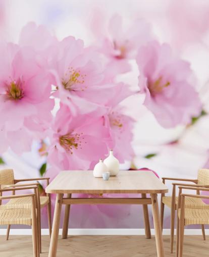 papier peint mural floral rose et blanc appelé Japanese Cherry Tree in Blossom pour chambres papier peint mural floral rose et blanc appelé Japanese Cherry Tree in Blossom pour chambres