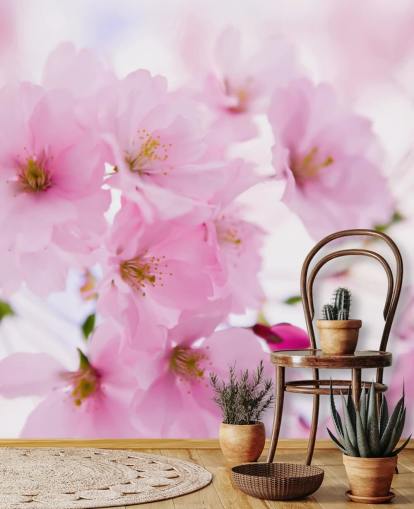 lyserødt og hvidt blomstertapet vægmaleri kaldet Japanese Cherry Tree in Blossom til soveværelser
