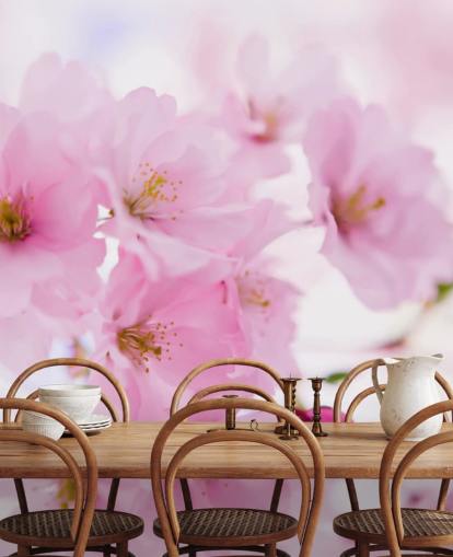 rosa-weiße Blumentapete mit dem Titel Japanischer Kirschbaum in Blüte für Schlafzimmer