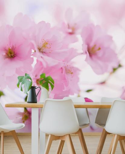 mural de papel pintado floral rosa y blanco llamado Cerezo japonés en flor para dormitorios mural de papel pintado floral rosa y blanco llamado Cerezo japonés en flor para dormitorios