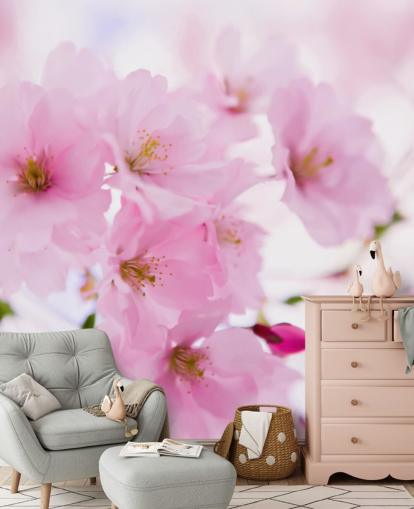pink and white floral wallpaper mural called Japanese Cherry Tree in Blossom for bedrooms