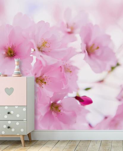 papier peint mural floral rose et blanc appelé Japanese Cherry Tree in Blossom pour chambres