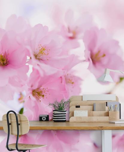 pink and white floral wallpaper mural called Japanese Cherry Tree in Blossom for bedrooms