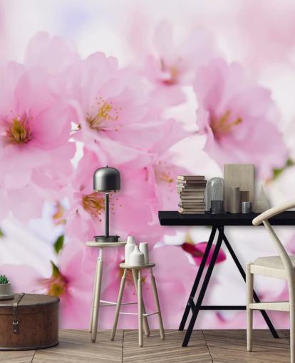mural de papel de parede floral rosa e branco chamado Japanese Cherry Tree in Blossom para quartos