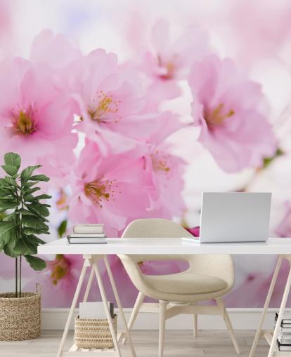 pink and white floral wallpaper mural called Japanese Cherry Tree in Blossom for bedrooms