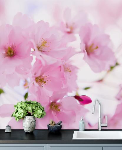 papier peint mural floral rose et blanc appelé Japanese Cherry Tree in Blossom pour chambres