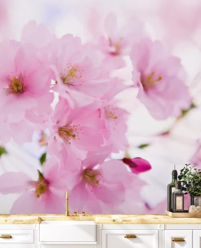 roze en witte bloemenbehangmuurschildering genaamd Japanese Cherry Tree in Blossom voor slaapkamers roze en witte bloemenbehangmuurschildering genaamd Japanese Cherry Tree in Blossom voor slaapkamers