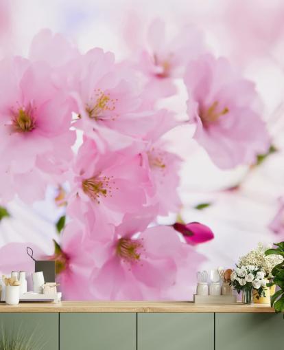 rosa-weiße Blumentapete mit dem Titel Japanischer Kirschbaum in Blüte für Schlafzimmer rosa-weiße Blumentapete mit dem Titel Japanischer Kirschbaum in Blüte für Schlafzimmer