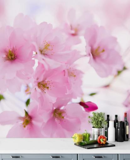 rosa-weiße Blumentapete mit dem Titel Japanischer Kirschbaum in Blüte für Schlafzimmer rosa-weiße Blumentapete mit dem Titel Japanischer Kirschbaum in Blüte für Schlafzimmer