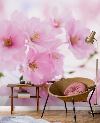 mural de papel pintado floral rosa y blanco llamado Cerezo japonés en flor para dormitorios