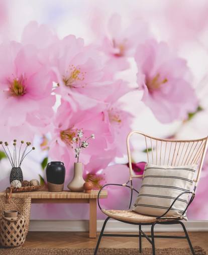 mural de papel pintado floral rosa y blanco llamado Cerezo japonés en flor para dormitorios