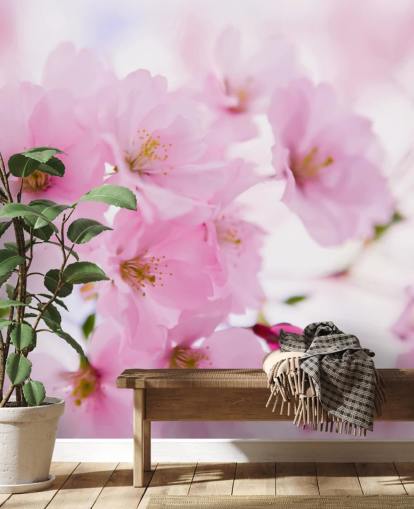 mural de papel pintado floral rosa y blanco llamado Cerezo japonés en flor para dormitorios
