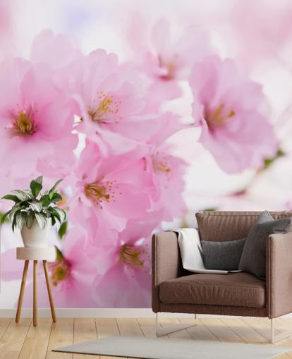 mural de papel pintado floral rosa y blanco llamado Cerezo japonés en flor para dormitorios