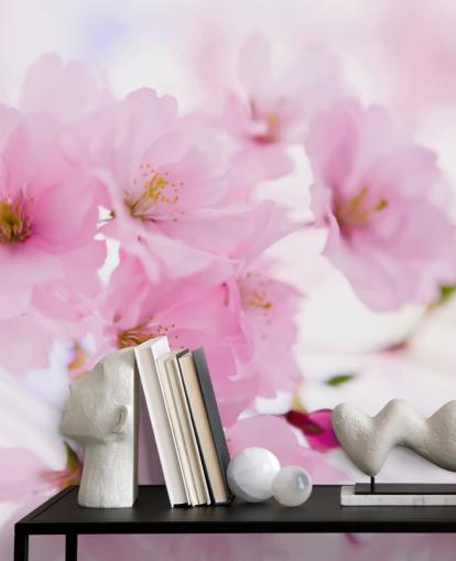 rosa-weiße Blumentapete mit dem Titel Japanischer Kirschbaum in Blüte für Schlafzimmer rosa-weiße Blumentapete mit dem Titel Japanischer Kirschbaum in Blüte für Schlafzimmer