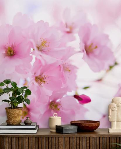 roze en witte bloemenbehangmuurschildering genaamd Japanese Cherry Tree in Blossom voor slaapkamers