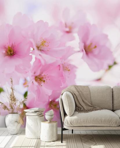pink and white floral wallpaper mural called Japanese Cherry Tree in Blossom for bedrooms