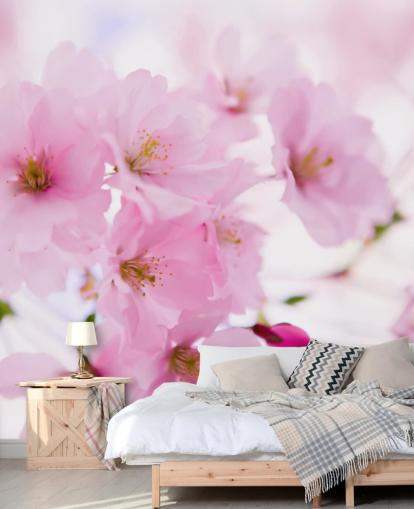 pink and white floral wallpaper mural called Japanese Cherry Tree in Blossom for bedrooms pink and white floral wallpaper mural called Japanese Cherry Tree in Blossom for bedrooms