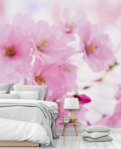 mural de papel pintado floral rosa y blanco llamado Cerezo japonés en flor para dormitorios