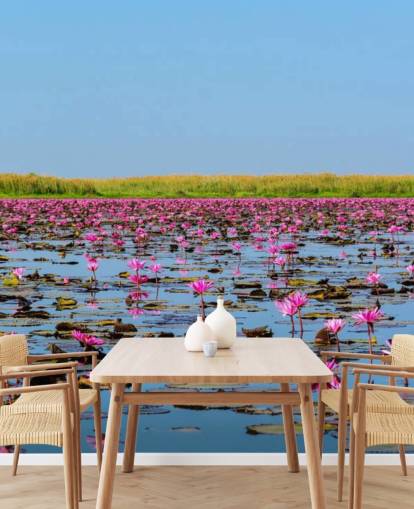 Lago cheio de mural de parede de lótus rosa
