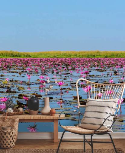 Lake Full of Pink Lotus Wall Mural