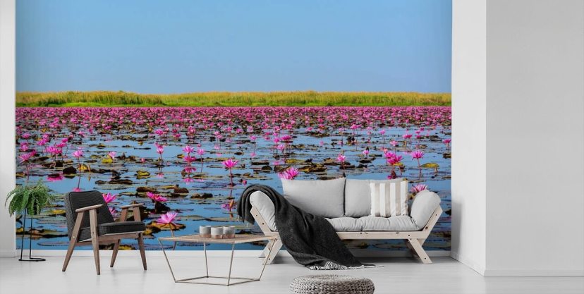Sea of Pink Lotus 2 Pink Floral Wallpaper