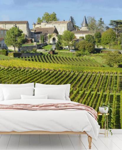 Decorazione murale con vigna francese