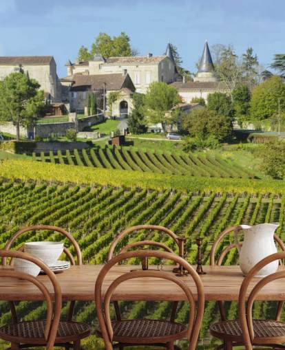 French Vineyard Wall Mural