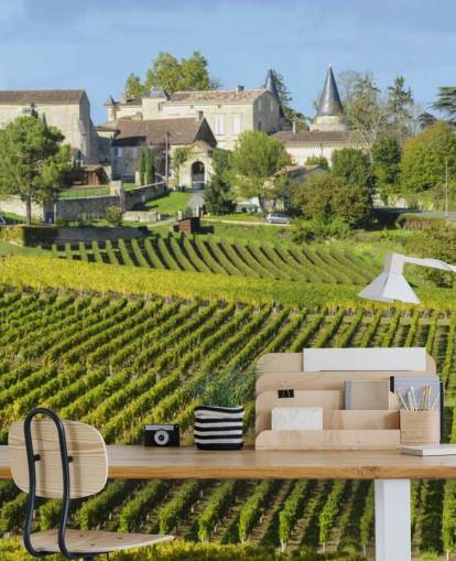 Muurschildering French Vineyard