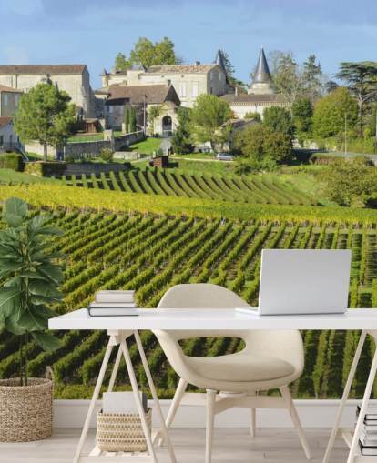 French Vineyard Wall Mural French Vineyard Wall Mural