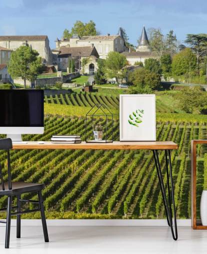 French Vineyard Wall Mural