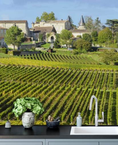 French Vineyard Wall Mural