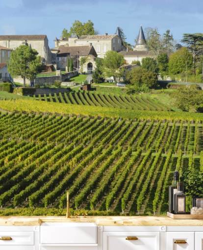 French Vineyard Wall Mural