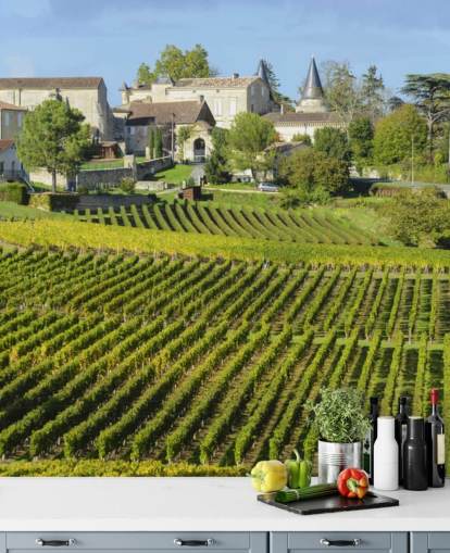 French Vineyard Wall Mural French Vineyard Wall Mural