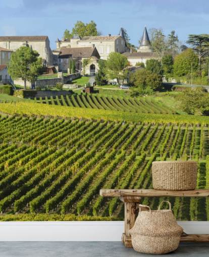Decorazione murale con vigna francese Decorazione murale con vigna francese