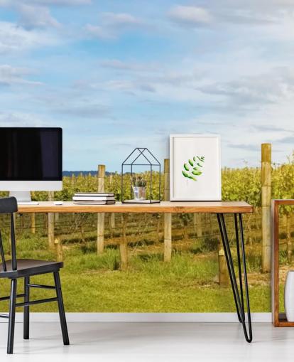 Australia Yarra Vineyard Wall Mural Australia Yarra Vineyard Wall Mural
