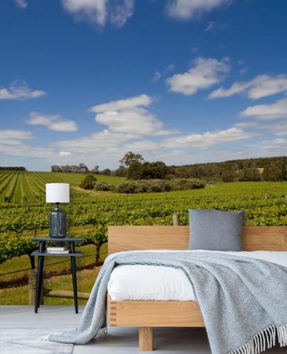 Rows of Grapes Vineyard Wallpaper