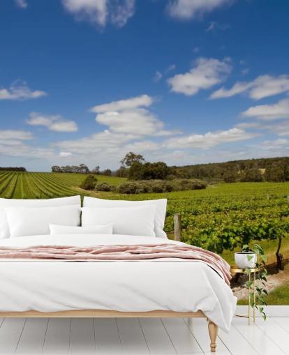 Papel pintado Viñedo Filas de uvas