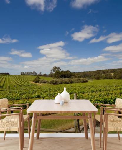 Papel pintado Viñedo Filas de uvas