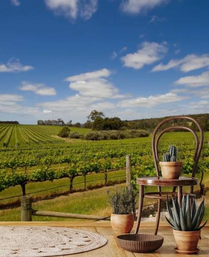 Rows of Grapes Vineyard Wallpaper Rows of Grapes Vineyard Wallpaper